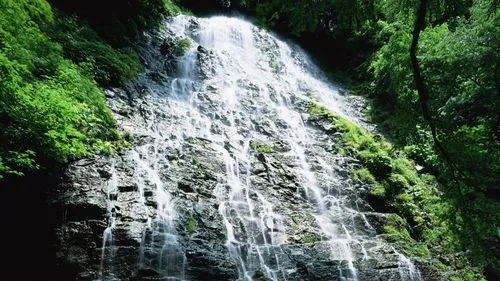 高精度智能